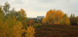 colors of autumn / ***