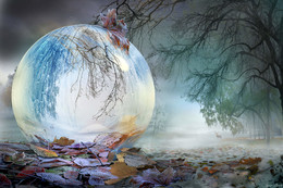 November / ***