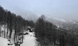 Snow in the mountains / ***