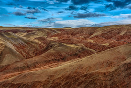 Landscape / ***