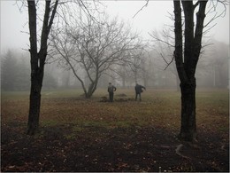 November... / ***