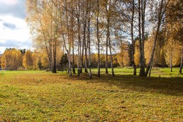 Herbstlandschaft. / ***