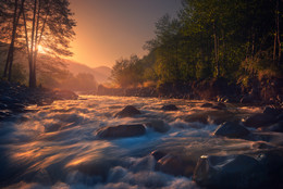 Notes of Sunrise / ...