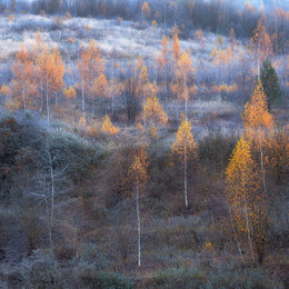 Kalter Herbst / ***