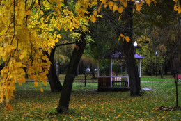 Autumn / ***