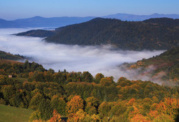 Misty Valley / ***