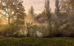 about autumn / ***