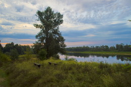 Morning on the river / ***