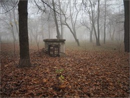 Memories of autumn / ***