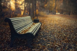 Autumn / ***