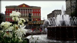 MY CITY. / ***