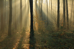October morning / ***