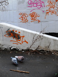 etude / 2017-11-02-086-C00-097(83)+C