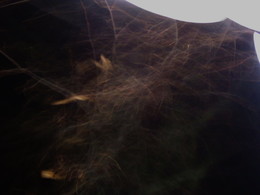 The wind of change / ***