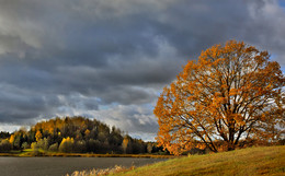 Autumn palette / ***