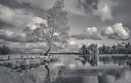 Quiet autumn. / ***