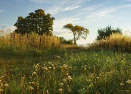 Indian summer / ***