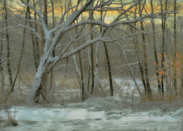 Winter evening in the forest / ***