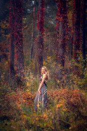 Autumn colors / ***