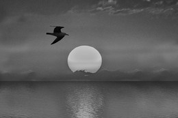 Was sunset / ***