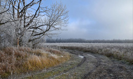 First Frost / Nikon D7000