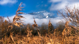Rigi / ***