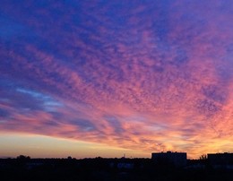 sunrise / ***