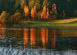 Evening light / ***