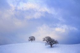 wind / ***