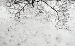 Winter etude / ***
