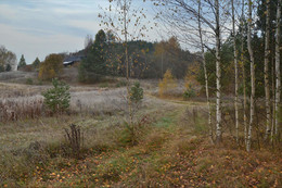 Rustic Fall / Nikon DSC7000