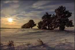 Winter ... / ...
