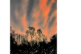 Bei Sonnenuntergang / ***