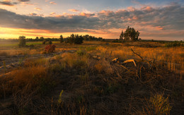 Autumn sunrise / ***