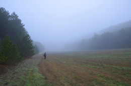 Fog / ***