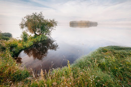 Sonnig Nebel / ***