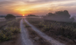 The road to autumn / ***