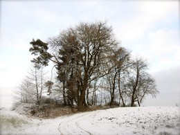  / Bei Unterschnatterbach