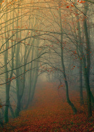 Der Winter ist nah / ***