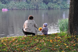 Herbst in der Stadt / ***