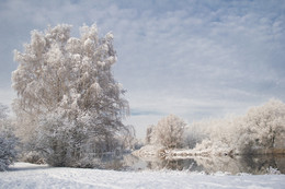 Winter / ***