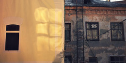 Windows / ***