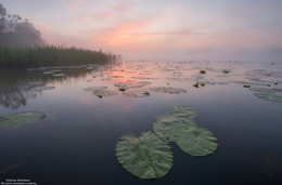 Peace and quiet. / ***