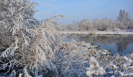 Winter landscape / ***