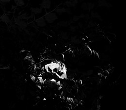 square mood / ***
