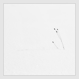 square mood / ....
