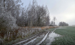 The road to autumn / Nikon D7000