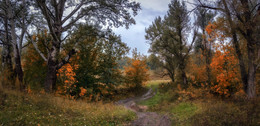 Tales rainy autumn / ***