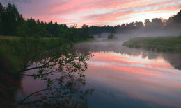 Summer Morning .. / -----------