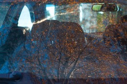 Spiegelung / ***